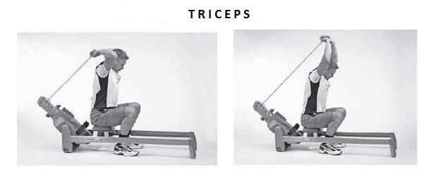 veslo-triceps veslo-triceps