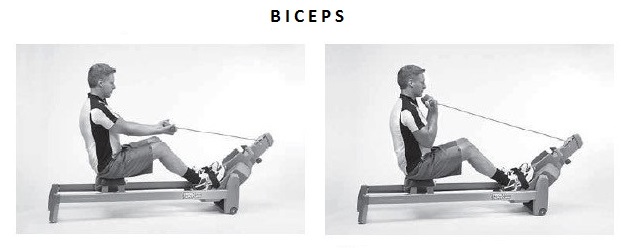 veslo-biceps veslo-biceps