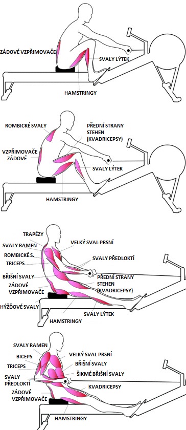 veslo-technika veslo-technika