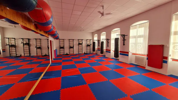 Sportovní a podnikatelská škola v Plzni