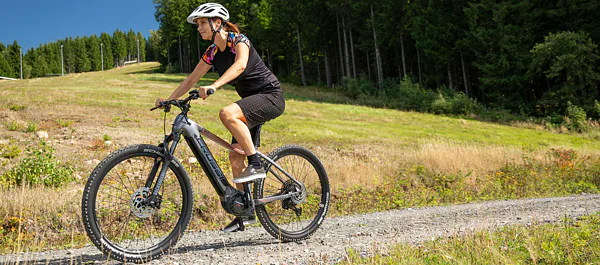 dámská elektrokola