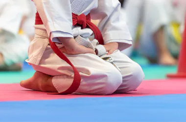 Jak poskládat a řezat tatami puzzle?