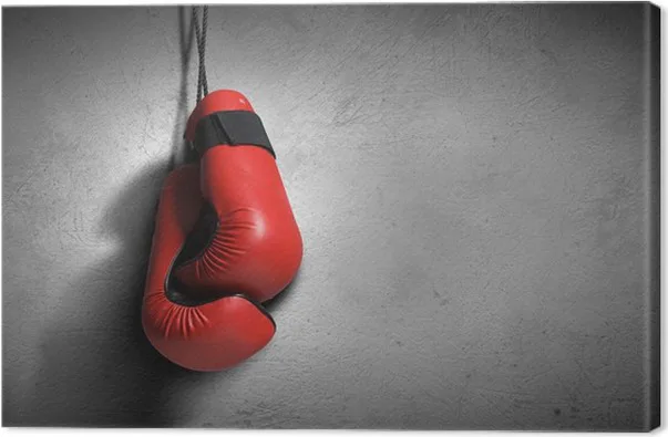 Jak vybrat boxerské rukavice - výběr a údržba