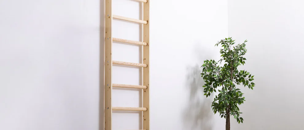 Ribstole a žebřiny - cvičení