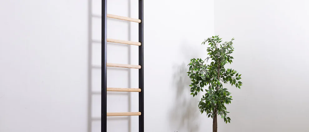 Jak vybrat ribstole, žebřiny