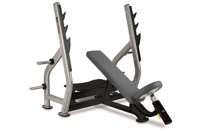 Posilovací lavice se stojanem BH FITNESS L820