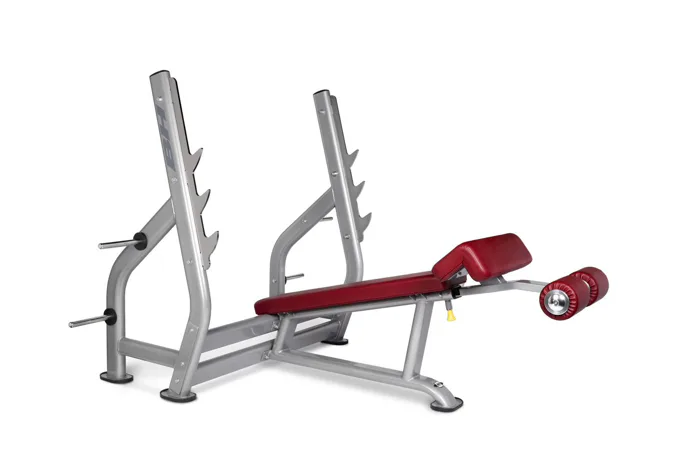 Posilovací lavice BH FITNESS L855 bench v negativním úhlu