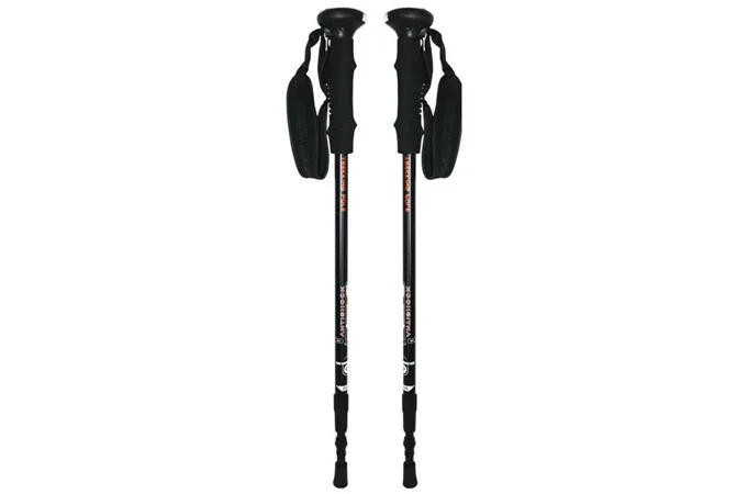 Trekingové hole nordic walking NILS EXTREME NW-TK 30 LED