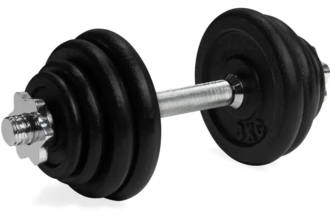 Jednoruční nakládací činka VIRTUFIT Cast Iron 1 x 15 kg