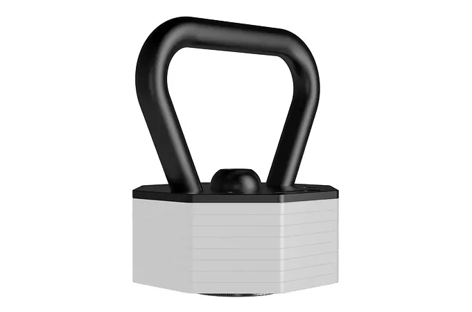 TUNTURI Rapid Adjustable Kettlebell Handle 3,5 kg
