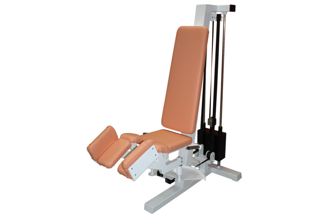 FITHAM Roznožování