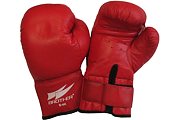 Boxovací rukavice