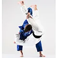 Obrázek Tatami na Judo / BJJ / Grappling