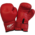 Obrázek Boxovací rukavice